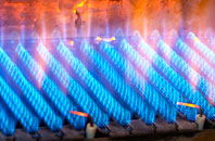 Trenoweth gas fired boilers
